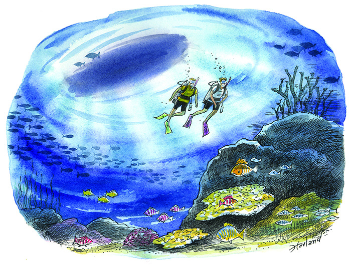 Illustration of two scuba divers exploring under water