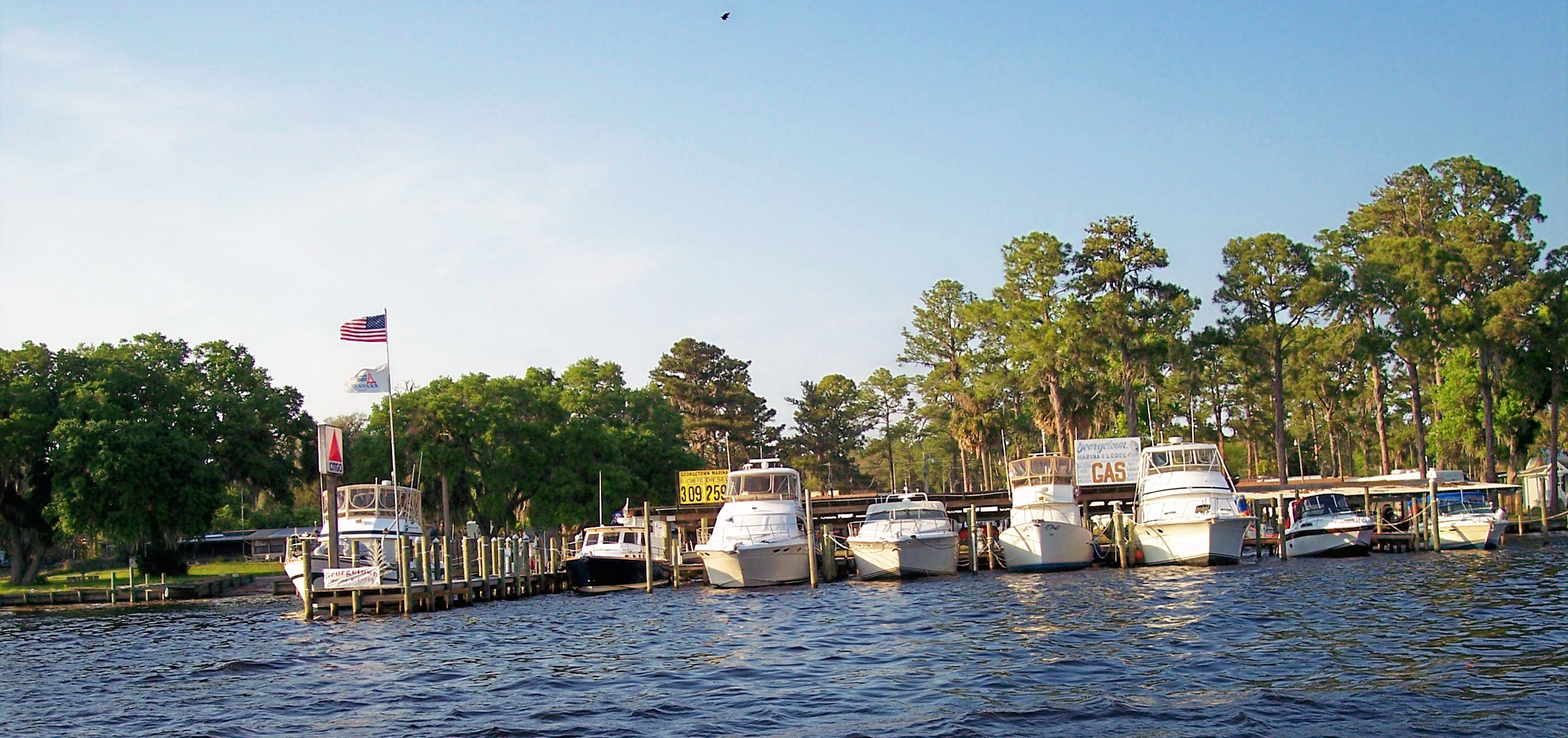 boatus rv insurance boatus cooperating marina georgetown marina lodge boatus rv insurance boatus cooperating marina georgetown marina lodge