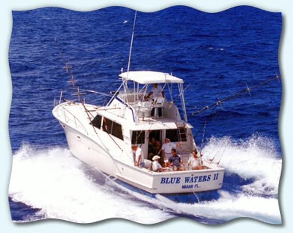 Ace Blue Water Fishing