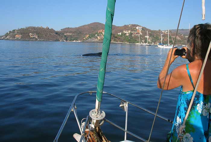 A woman in a floral blue dress stands at the bow of a sailboat taking a photo of an animal in the water using a digital camera.