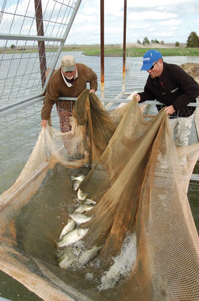 Two white men dressed for cold winter weather smile as they are moving fishing nets around inside of a large metal structure.
