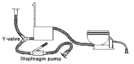 Diaphragm Pump Discharge