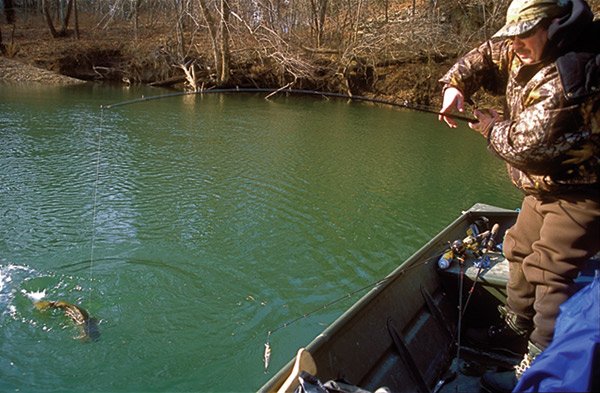 Ron Duncan Lands a Smallmouth Bass