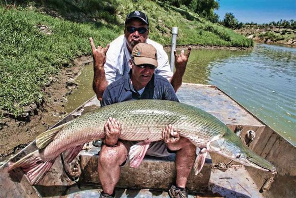Mark Zona and Tommy Sanders with an Alligator Gar