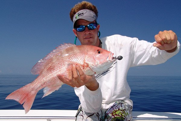 Red Snapper, Gulf of Mexico