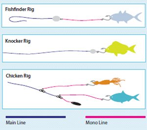 Reef Rigs