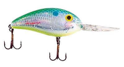 Shallow vs. Deep: The Best Summertime Lures