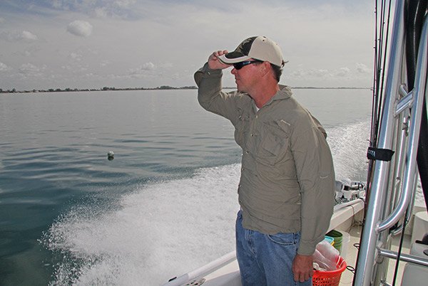 Looking for Tripletail