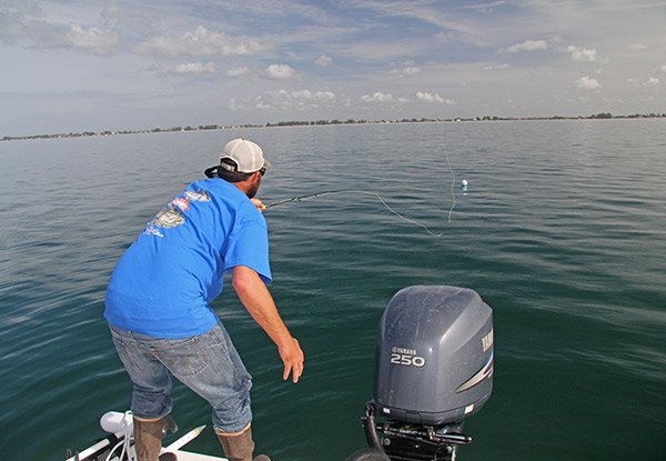 Spotting Tripletail