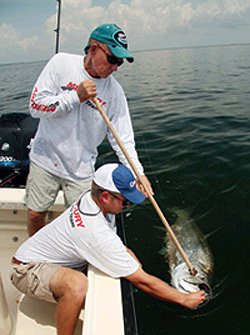Tarpon DNA Sampling