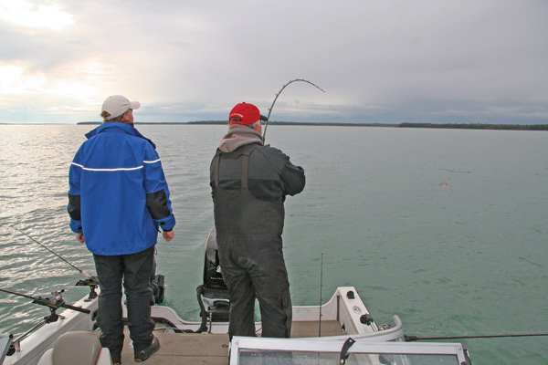 Trophy Walleyes