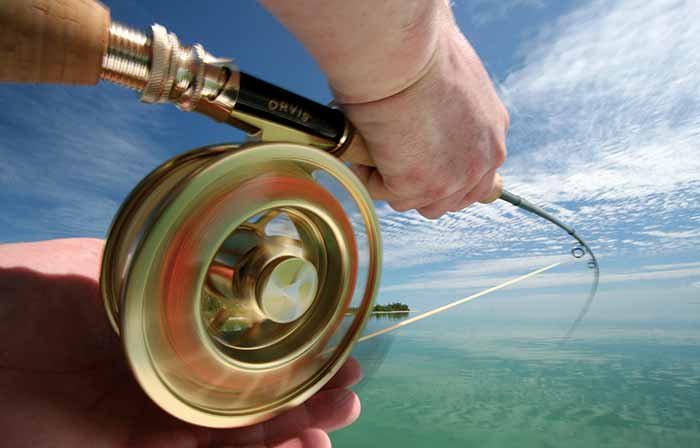 A close up of a fishing reel and a hand holding the fishing pole