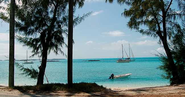 looking out from a sandy beach with palm trees framing the view of several power and sailboats in the water