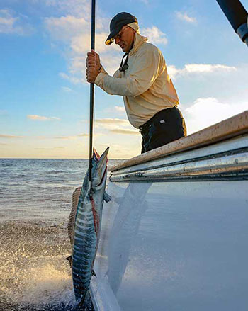 Baja Sur spear fishing