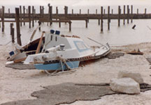 Small blue and white boat carried ashore during hurricane storm surge