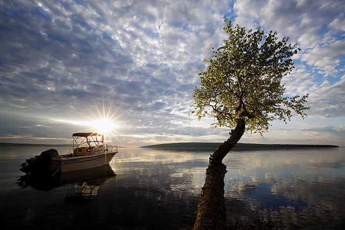 Scenic Winner, Apostle Dreams by Michael DeWitt