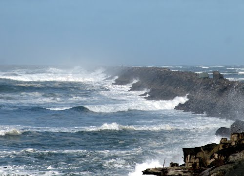 Sea Coast