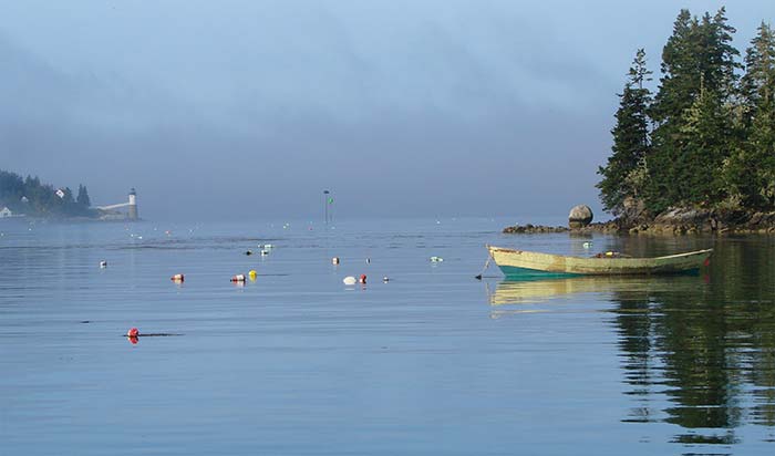 A single small canoe anchored around many mooring balls on a calm body of water. The sky is foggy.