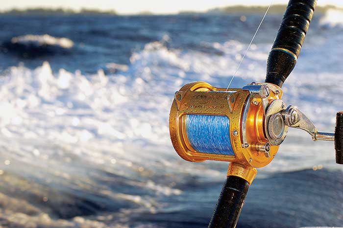 Fishing rod closeup