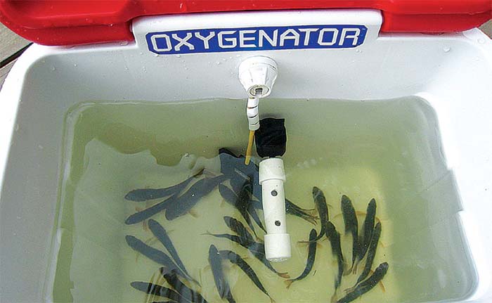 Oxygenator cooler kit