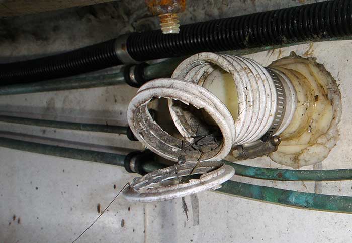 Scupper drain hose