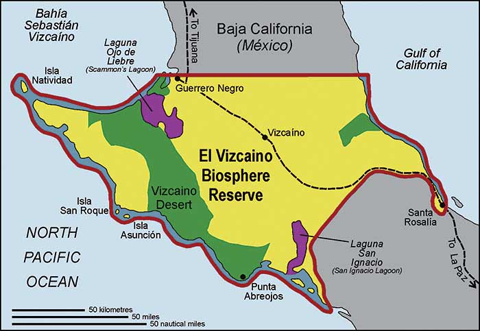 El Vizcaino map