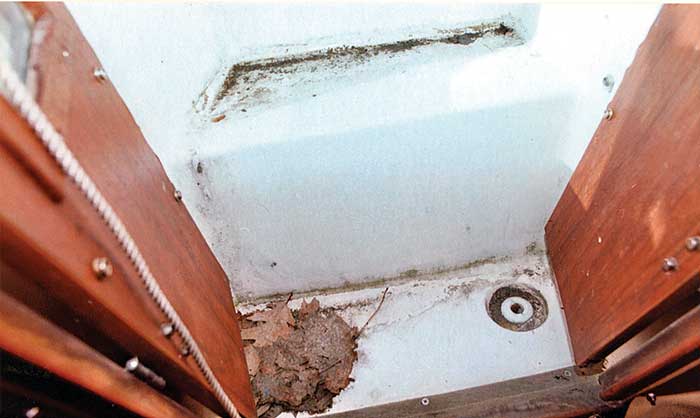 Mold and Mildew - The Boat Galley
