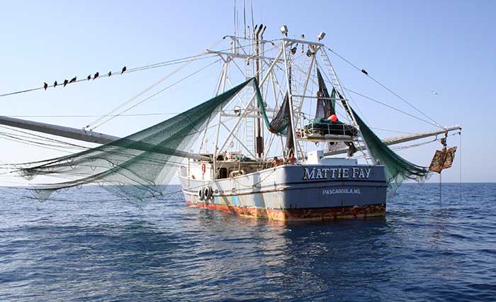 Commercial fishing vessel