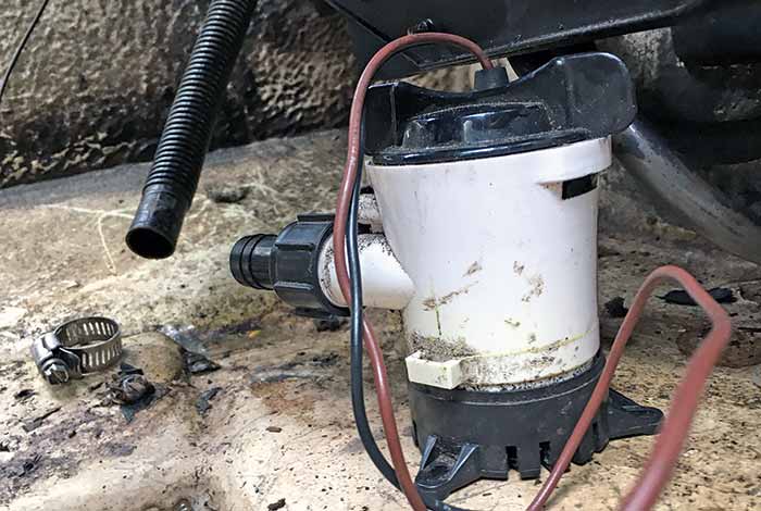 Disconnect hose from pump body