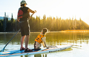 Man and dog on SUP wearing life vests
