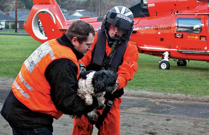 US Coast Guard rescuing dog