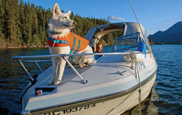 Dog Ladders for Fishing Boats