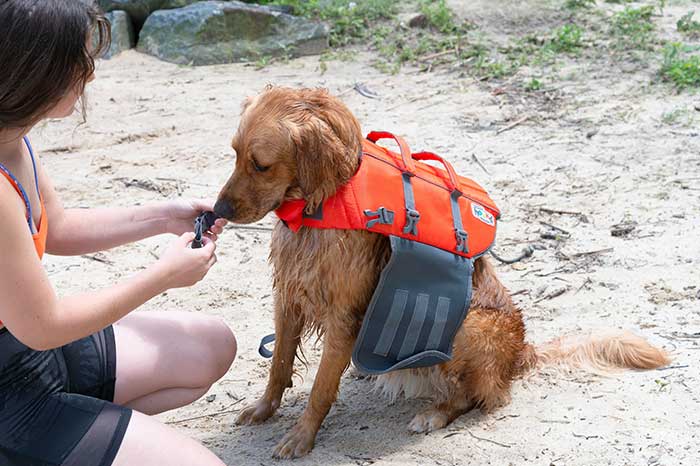 OUTWARD HOUND Granby RipStop Dog Life Jacket, X-Large Bright Orange 