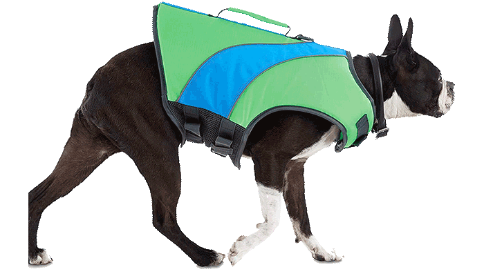 The Differences Between Outward Hound Dog Life Jackets – Furtropolis