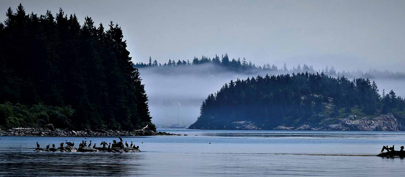 penobscot bay yacht exchange