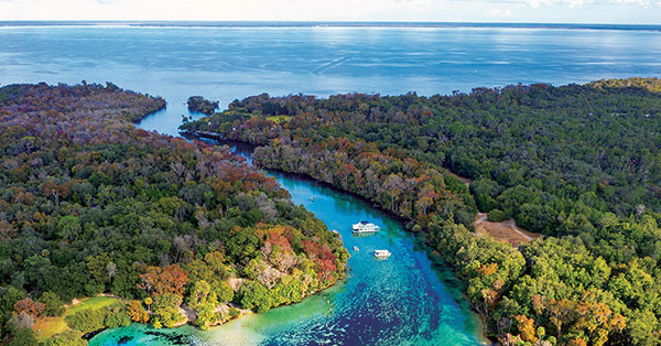 Back In Time On The St. Johns River