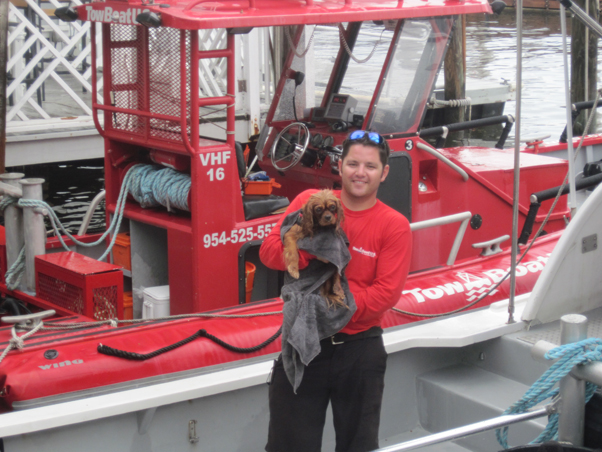 Dog rescued from intracoastal