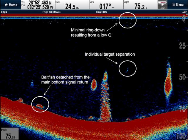 Fish Finder | BoatUS