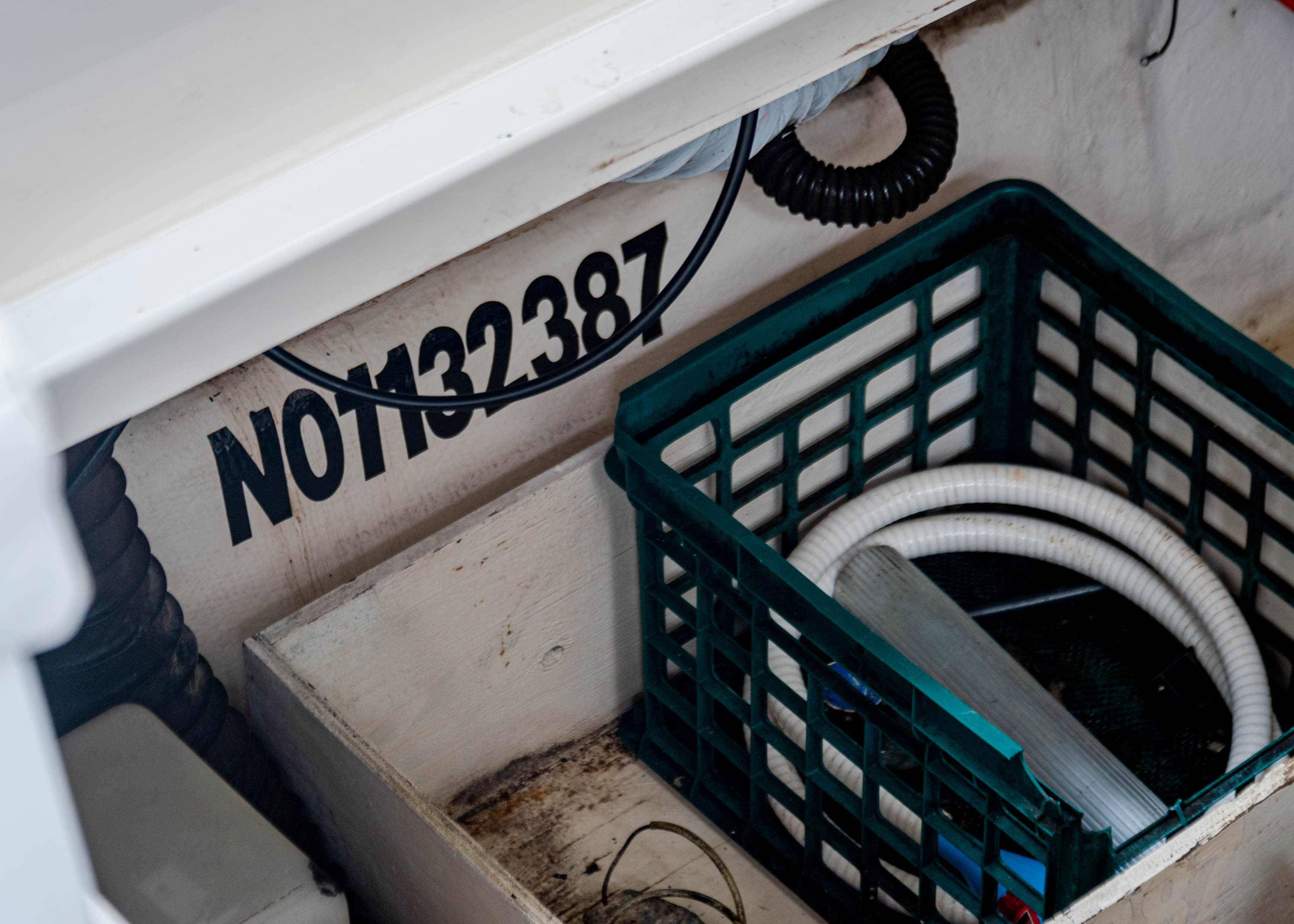 BoatUS Consumer Alert: Be Wary of Any Letter Arriving by U.S. Mail Offering  U.S. Coast Guard Documentation Renewal : BoatUS News Room